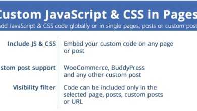Photo of [Download-S1] Custom JavaScript & CSS in Pages v2.9