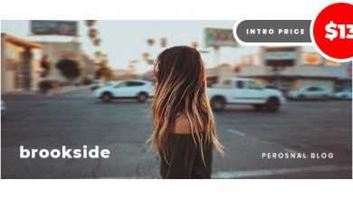 Photo of [Download-S2] Brookside v1.1 - Personal WordPress Blog Theme
