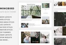 Photo of [Download-S2] Hummingbird v1.0 - The Ultimate Blog Theme