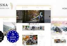 Photo of [Download-S2] Asna v1.6 - Creative Blog