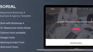 Photo of [Download-S2] Borial v1.0 - Bootstrap 4 Business & Agency Template