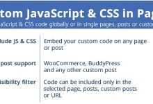 Photo of [Download-S1] Custom JavaScript & CSS in Pages v3.0