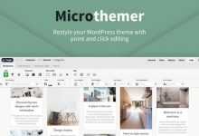 Photo of [Download-S1] MicroThemer v5.8.2.4 - WordPress CSS Editor
