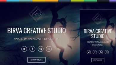 Photo of [Download-S2] Birva v1.0 - Bootstrap Parallax One Page Template