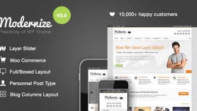 Photo of [Download-S2] Modernize v3.3.1 - Flexibility of Wordpress
