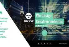 Photo of [Download-S2] Birva v2.0 - Creative One Page Theme
