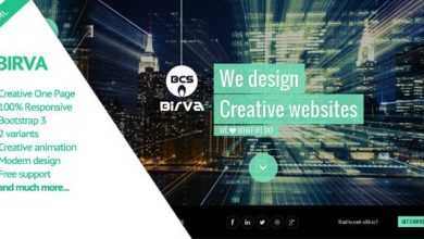Photo of [Download-S2] Birva v2.0 - Creative One Page Theme