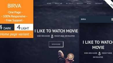 Photo of [Download-S2] BIRVA - Responsive Portfolio Template
