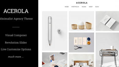 Photo of [Download-S2] Acerola v1.6.2 - Ultra Minimalist Agency Theme