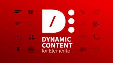 Photo of [Download-S1] Dynamic Content for Elementor v1.7.0