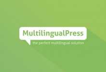 Photo of [Download-S1] MultilingualPress v3.3.0