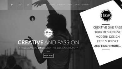 Photo of [Download-S2] Birva Design v1.0 - Creative One Page Theme