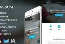 Photo of [Download-S2] Magnum v1.0 - Responsive Email Template
