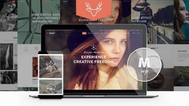 Photo of [Download-S2] Moose v3.2 - Creative Multi-Purpose Theme
