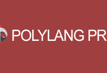 Photo of [Download-S1] Polylang Pro v2.6.8 - Multilingual Plugin