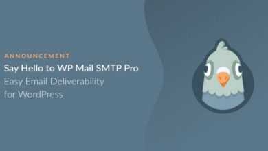 Photo of [Download-S1] WP Mail SMTP Pro v1.7.1