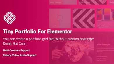 Photo of [Download-S1] Tiny Portfolio Widget For Elementor v1.0.0