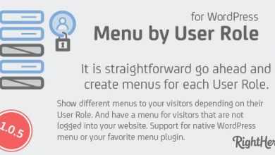 Photo of [Download-S1] Menu by User Role for WordPress v1.0.5