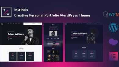 Photo of [Download-S2] Intrinsic v1.0.1 - Creative Personal Portfolio Themes