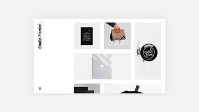 Photo of [Download-S2] Flamini v1.0.3 - Studio/Agency Portfolio WordPress Theme for Elementor