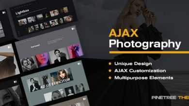 Photo of [Download-S2] TheBi v1.0.5 - Photography WordPress Theme
