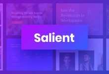 Photo of [Download-S2] Salient v11.0.4 - Responsive Multi-Purpose Theme