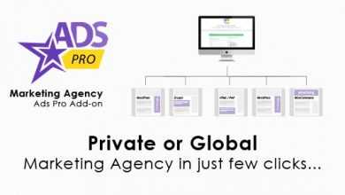 Photo of [Download-S1] Ads Pro Add-on v1.9.2 - WordPress Marketing Agency