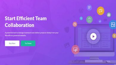 Photo of [Download-S1] WP Project Manager Pro v2.4.0