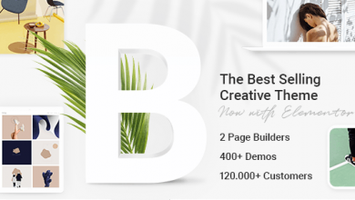 Photo of [Download-S2] Bridge v20.0 - Creative Multi-Purpose WordPress Theme