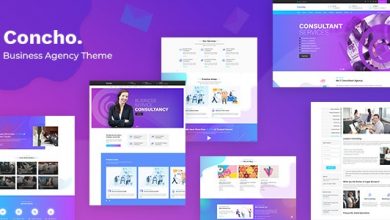 Photo of [Download-S2] Concho v1.3 - HR, Consulting Services WordPress Theme