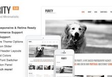 Photo of [Download-S2] Purity v4.3.7 - Responsive, Minimal & Bold WP Theme