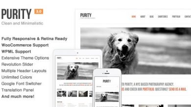 Photo of [Download-S2] Purity v4.3.7 - Responsive, Minimal & Bold WP Theme